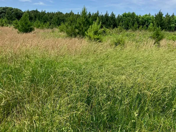 0 Renee Ford Rd, Stanfield, NC 28163