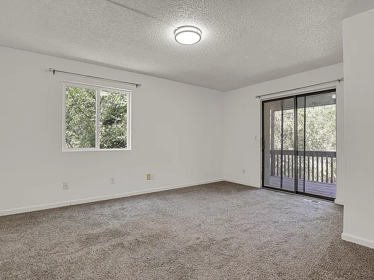 5534 Bonita Village Rd — Photo 17