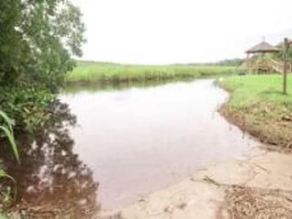 0 Bolen Point Ave, Green Pond, SC 29446