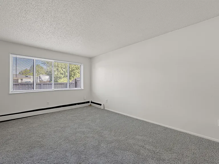 18 Ash Ct — Photo 30