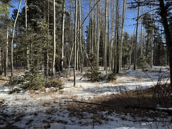 99 Zia Rd, Angel Fire, NM 87710