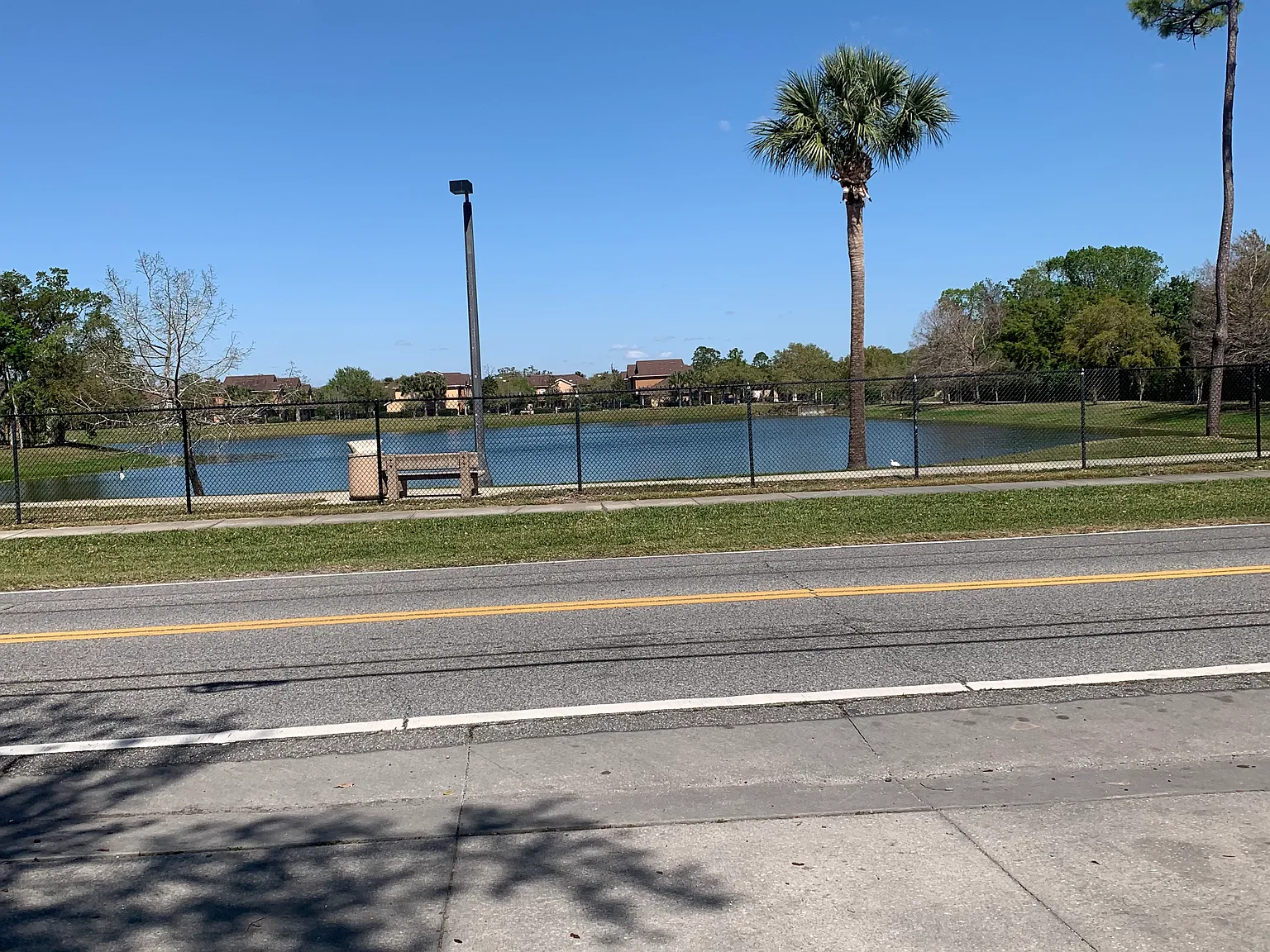 3 bed, $1,495 — Photo 3