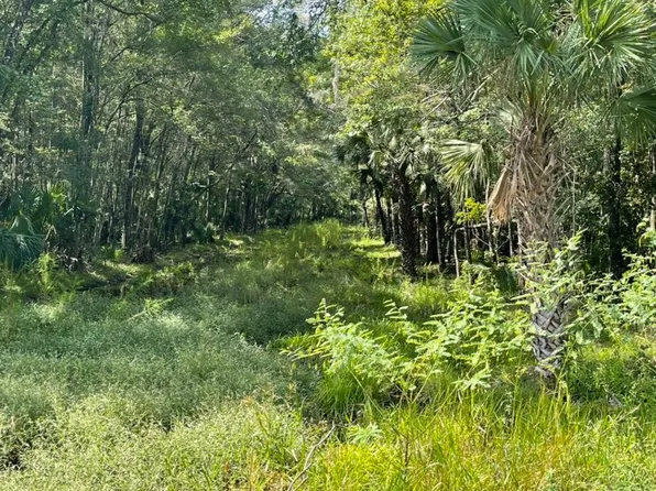 S Us Highway 19, Inglis, FL 34449