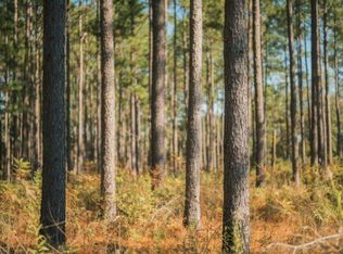 Strickland Rd, Cairo, GA 39828