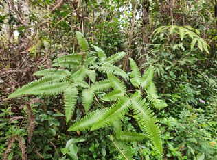 Pikake Rd LOT 60, Pahoa, HI 96778