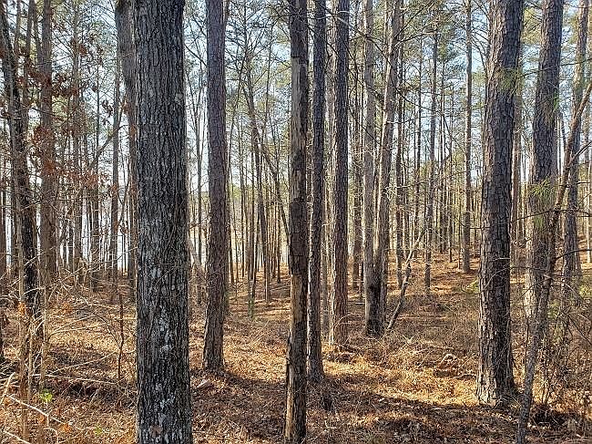 1st image of 0 Still Water Ln #13