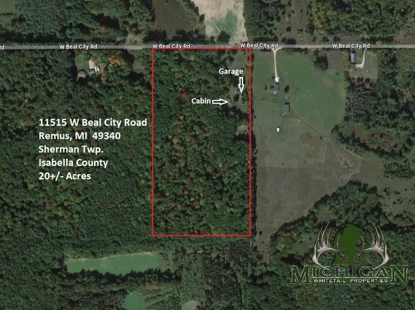11515 W Beal City Rd, Remus, MI 49340