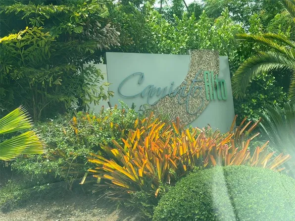 Caminito Alto Carr #189, Gurabo, PR 00778
