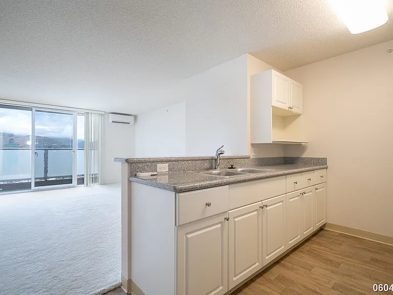 801 South St #3901 — Photo 4