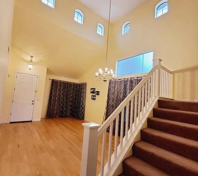 3286 Bruno Dr — Photo 4