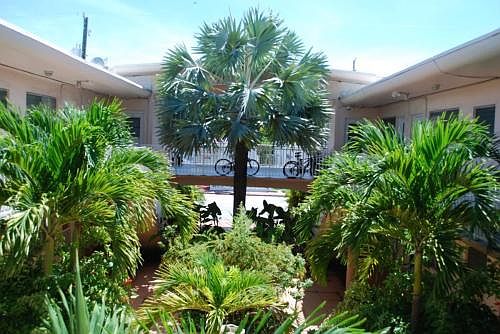 Courtyard from Harding Ave.