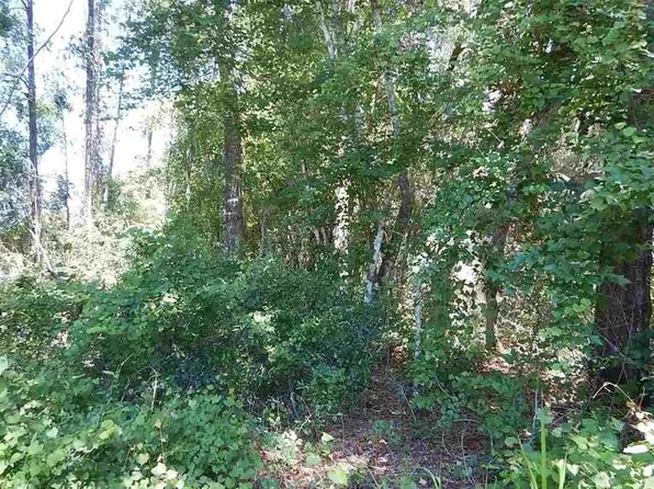 0 SW 52nd Ter #29, Lake Butler, FL 32054