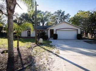 8611 Alafia Ridge Rd, Riverview, FL 33569