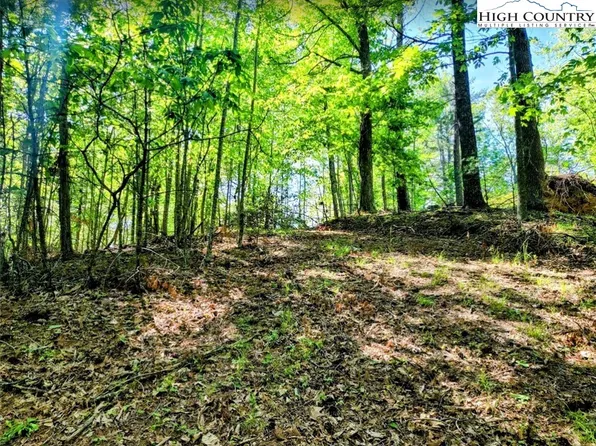 TBD Lucky Leaf Lane, Vilas, NC 28692