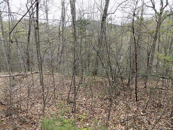 3rd image of 1 Mountain Shadow Way Lot 85186