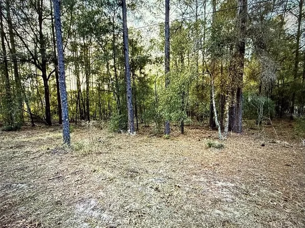 SW 205TH CIRCLE LOT 84, DUNNELLON, FL 34431