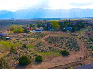 1063 Log Cabin Rd, Gardnerville, NV 89410