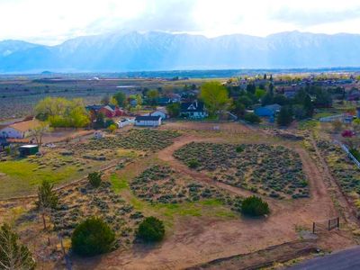 1063 Log Cabin Rd, Gardnerville, NV, 89410