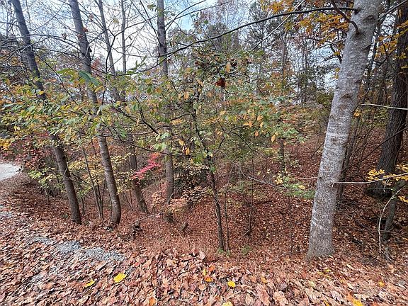 5th image of 468 Cherokee Ct