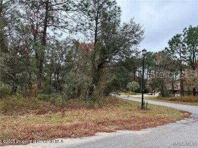 6 Shamrock Ct LOT 14, Homosassa, FL, 34446