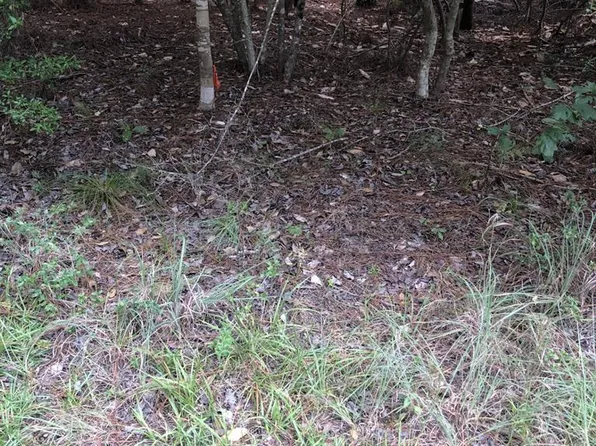 Id 34169 Dewberry Dr, Brookeland, TX 75931