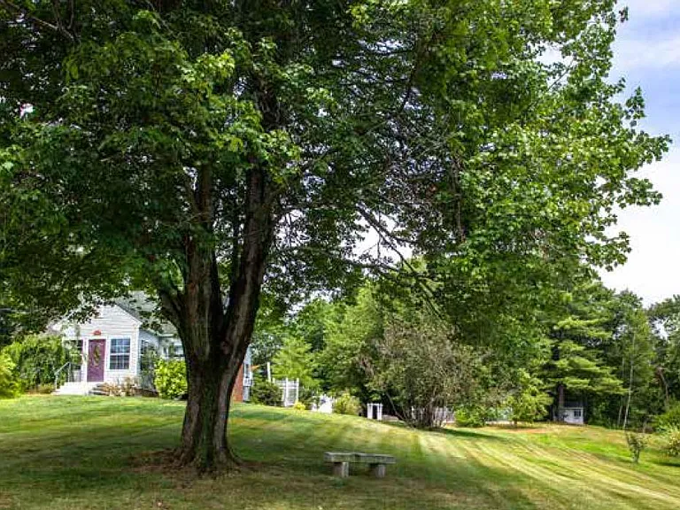 21 Franklin St — Photo 2