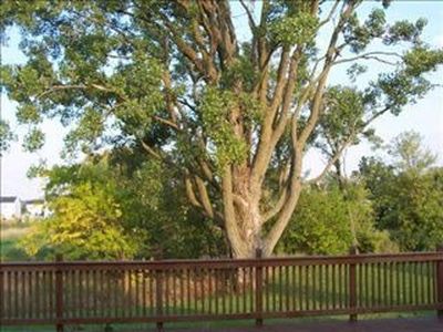 344 Alice Ln, Tallassee, AL, 36078