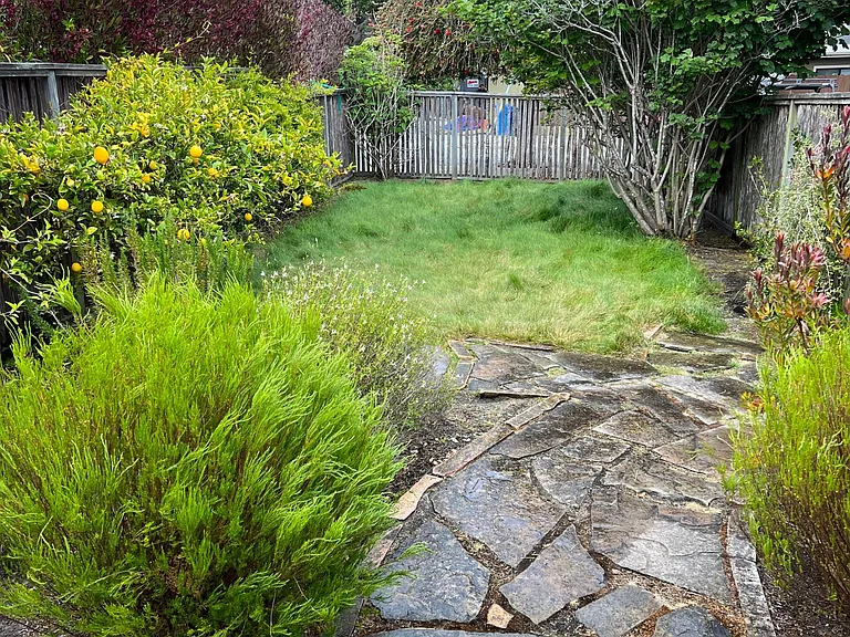 905 Pine St — Photo 5