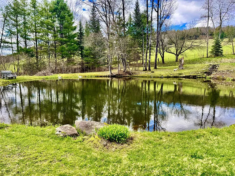 6406 Moretown Mountain Rd — Photo 13
