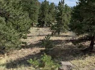 52 Bit Way, Hartsel, CO 80449