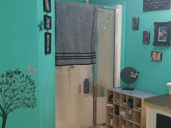 Master Bath Walk in Shower