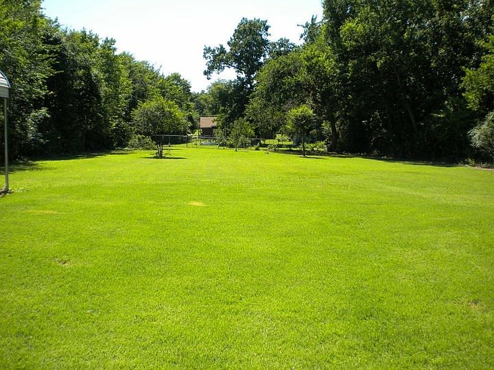 Back yard 