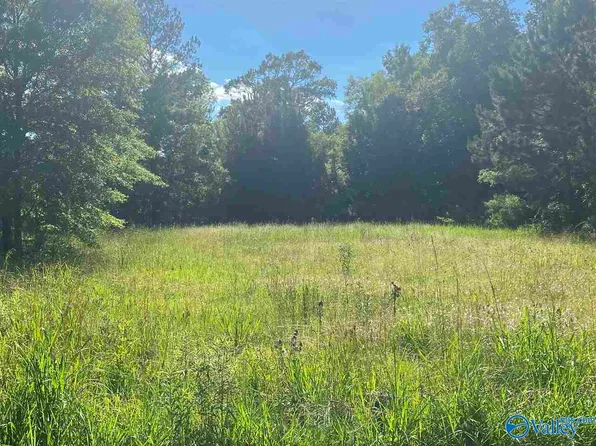 304 Royal Troon Dr, Rainbow City, AL 35906