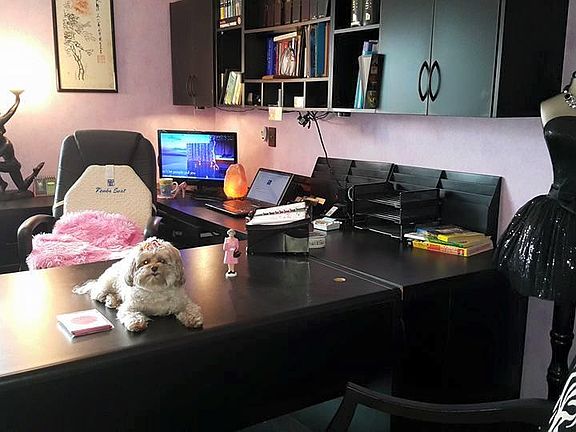 The study, which can also be used to put a blow up bed in if