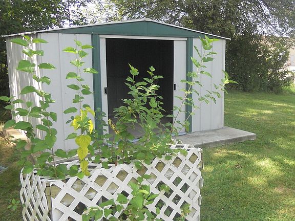 Great shed for storage!