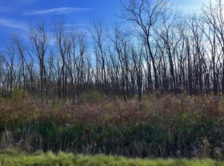 2960 Linco Rd, Berrien Springs, MI 49103