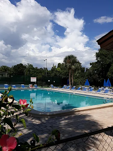 501 E Bay Dr #3003 Photo 1