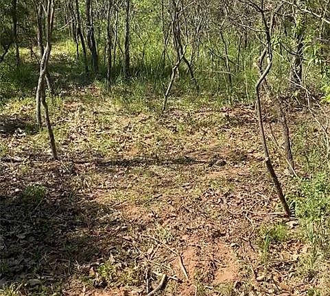 3rd image of 13701 Choctaw Hills Pl Lot 6