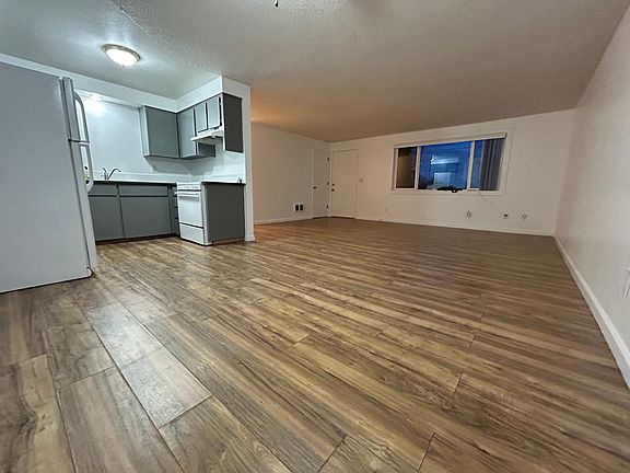 Dining room / Living room / Kitchen