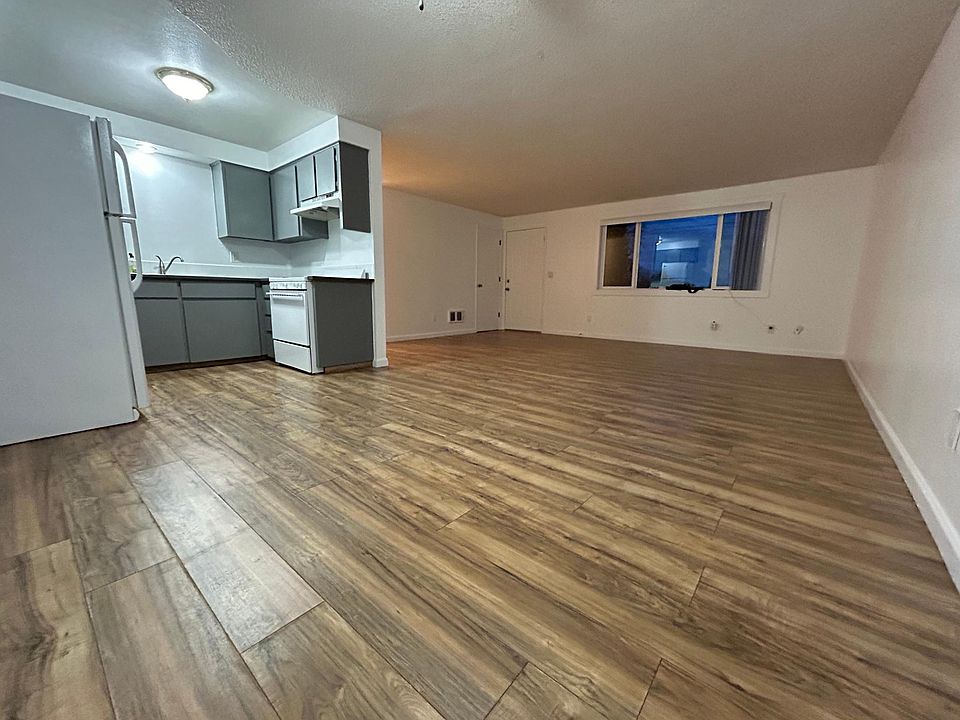 Dining room / Living room / Kitchen