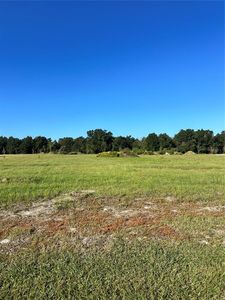 38793 RANCH GATE BOULEVARD LOT 7, Umatilla, FL, 32784