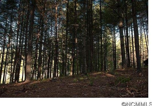 2nd image of 1252 Dragging Canoe Trl #95