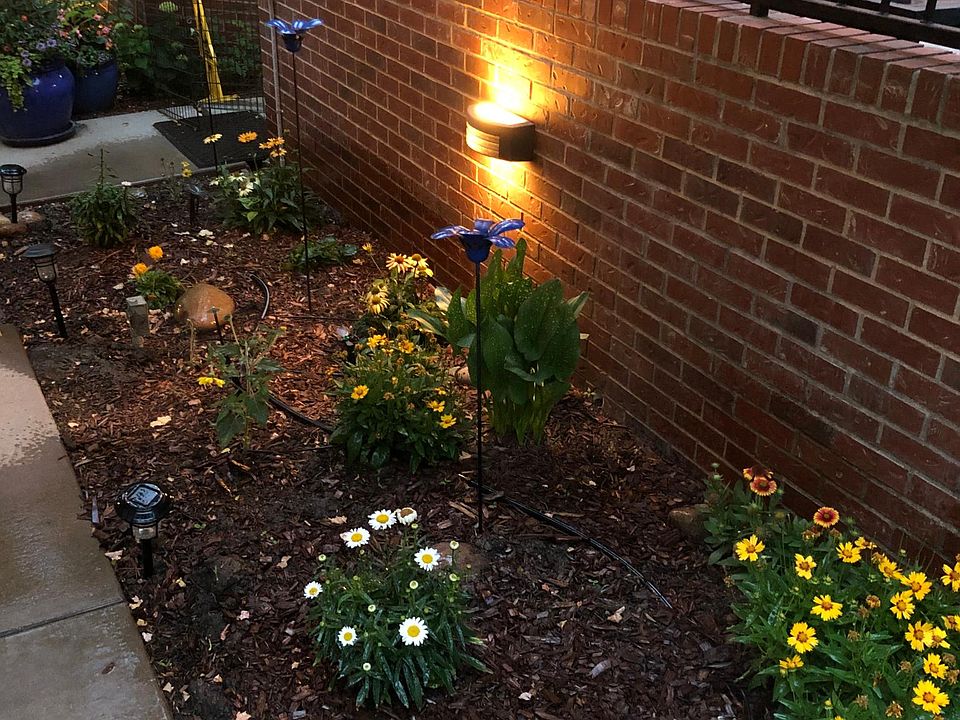 Flowerbed maintained by owner