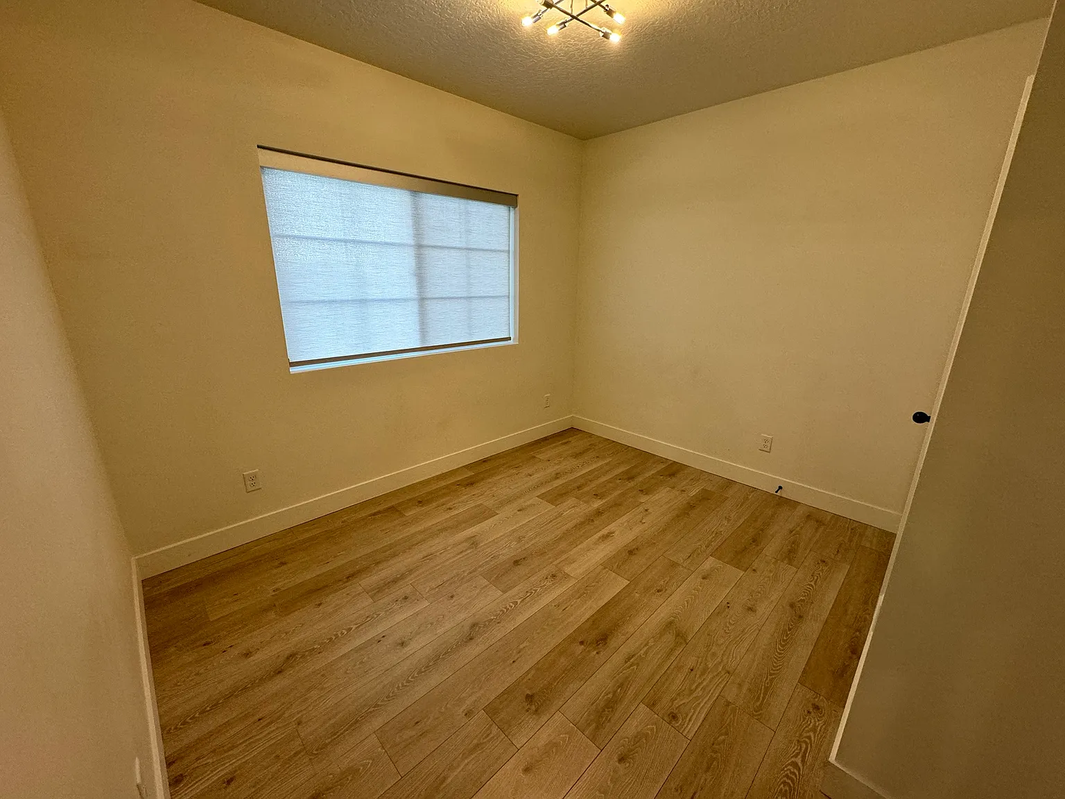 1 bed, 439 sqft, $1,250 — Photo 4