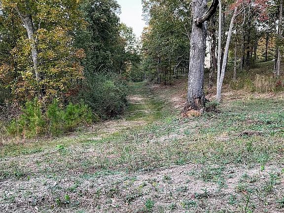 4th image of 0 Robinson Watts Rd
