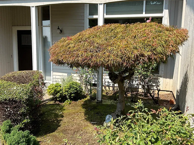 20 Yorick St — Photo 15
