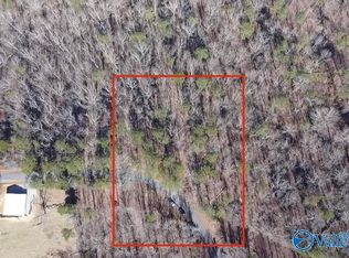 9.6 Latham Rd, Eva, AL 35621