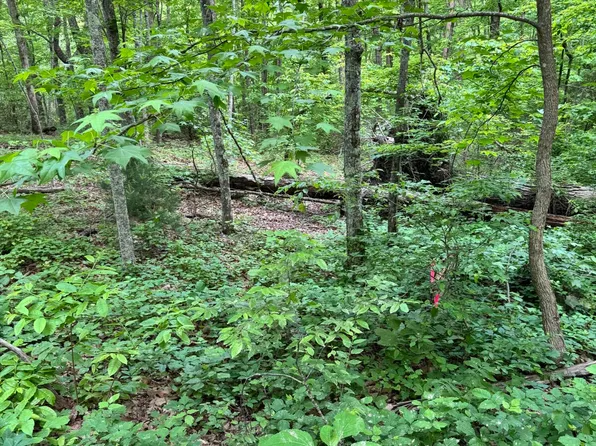 Prettiest Sunset Way Lot 3, Seymour, TN 37865