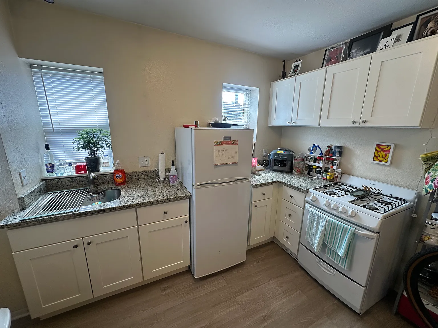 1 bed, 565 sqft, $1,195 — Photo 2
