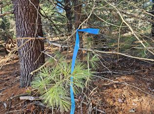 PARCEL Tatanka Trl #O, Baldwin, MI 49304